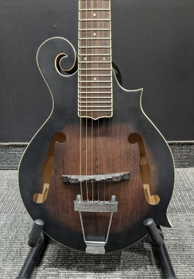 Gold Tone 6-String F-style Mando-Guitar w/ Pickup 2